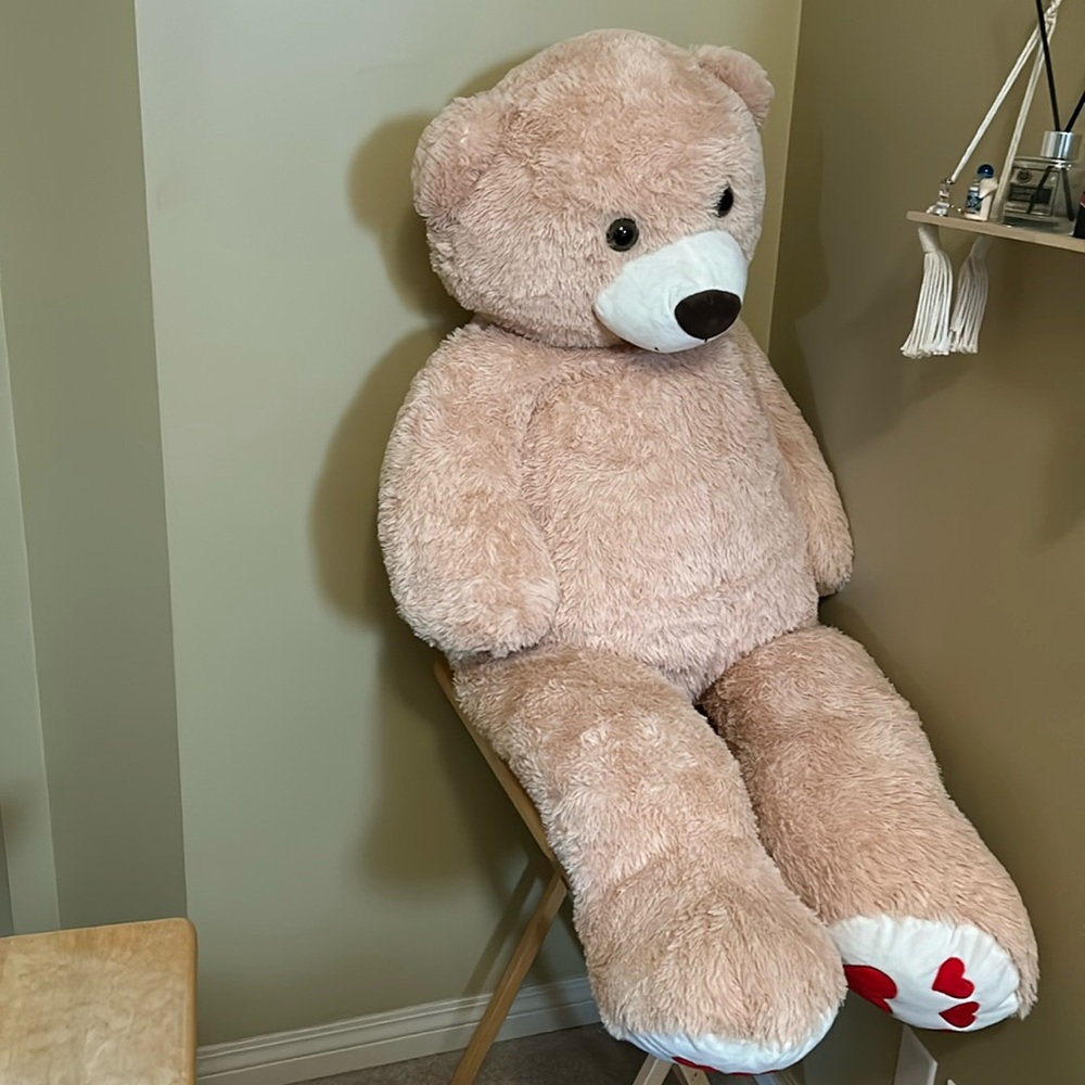 ~5 feet teddy bear